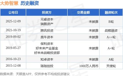 大勢智慧完成B輪融資，元睿資本與瑞鵬資產領投，技術賦能再升級